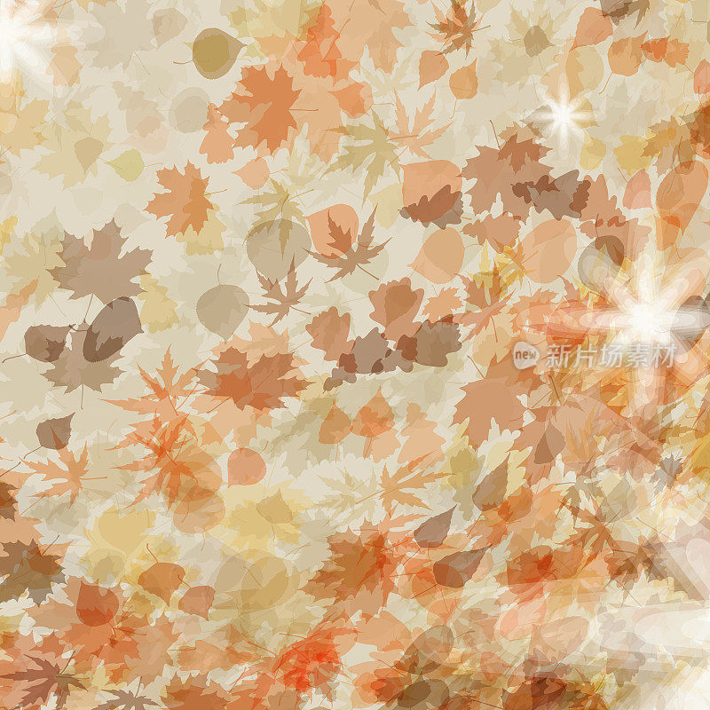 秋叶之静美。季节性的模板设计。EPS 8